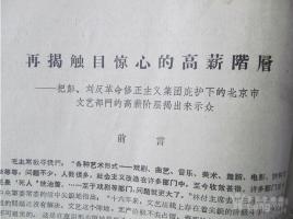 一周内五＂虎＂被捕 有人曾任＂湄公河惨案＂专案组组长